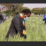 Douglas Munatsi Was One Of The Few True Patriots Around Mnangagwa - Chin'ono