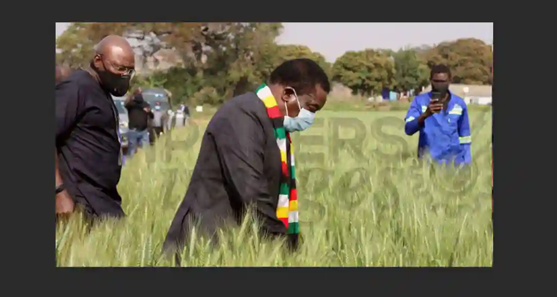 Douglas Munatsi Was One Of The Few True Patriots Around Mnangagwa - Chin'ono