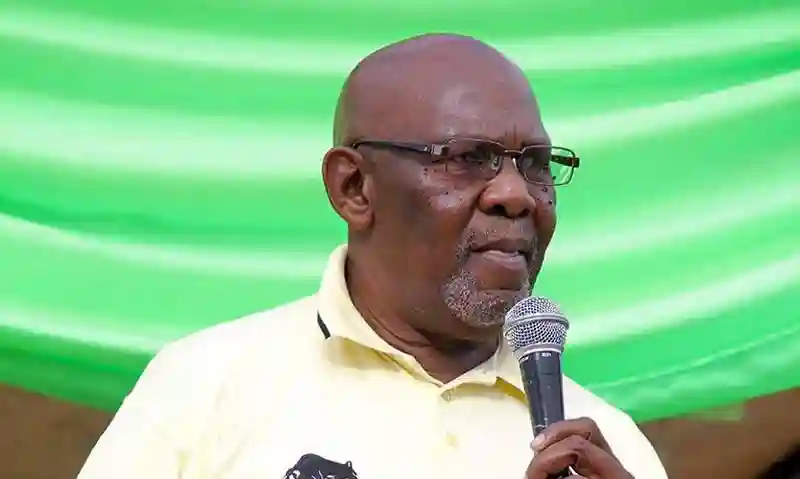 Dumiso Dabengwa returns from observing German elections