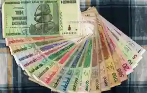 'Dump Multi-Currency & Bring Back Zim Dollar'