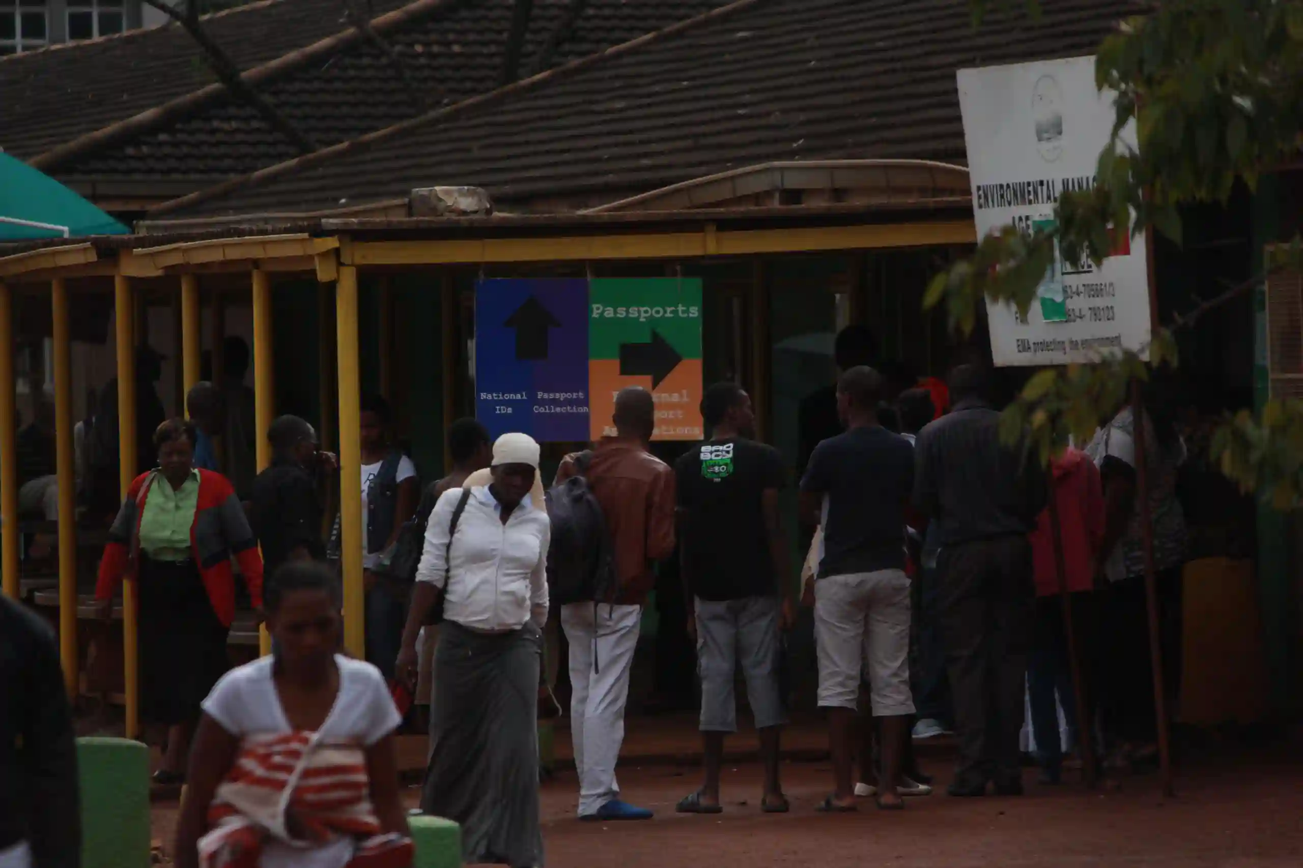 E-Passports Saga: Zimbabwean Government A Bunch Of Roving Bandits - Biti