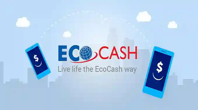 EcoCash Caps Individual Transactions At $5 000 Per Day, Agent Lines Banned