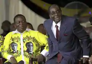 "ED Is Creating An Imperial Presidency Like That Of Mugabe," Chin'ono