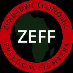 EFF Zimbabwe Demands Muchinguri-Kashiri's Immediate Resignation {Full Text}