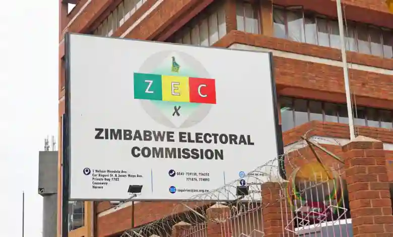 Egypt Dzinemunhenzva Challenges New ZEC Nomination Fees