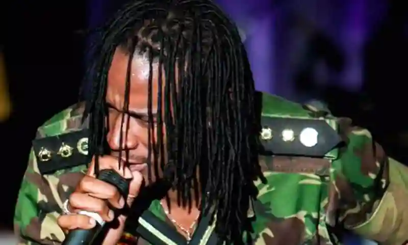 Fans fight during Jah Prayzah's show