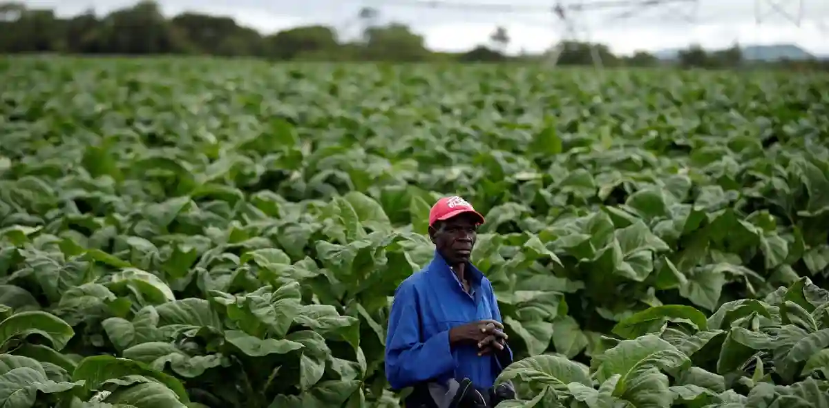 Farm Workers 'Happy' With New Dispensation
