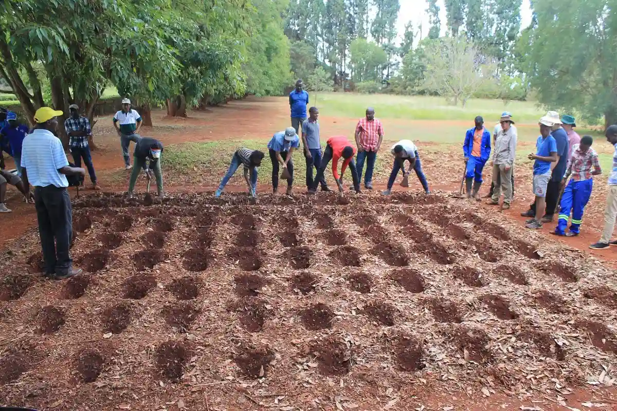 Farmers In Zimbabwe Raise Alarm Over Rising Input Costs