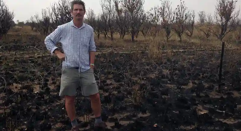 Former farm owner confront's Shamuyarira's widow, reminds her of how she has ruined the farm