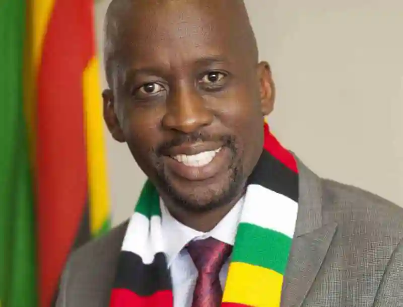 Former Finance Deputy Minister Terence Mukupe Proposes Mangudya's Ouster Or Fuel Price Increase To Solve Fuel Crisis