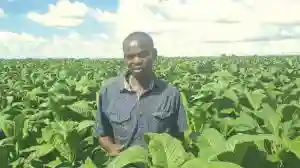 From Farm Labourer To Million-dollar Farmer... Story Of Patrick Matadi (32)