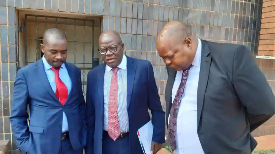 FULL TEXT: Human Rights Lawyers' Statement On Hwende's Treason Trial