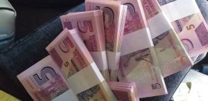 Full Text: Measures Being Instituted By Government To Enhance The Zimbabwe Dollar