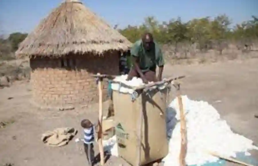 Gokwe Farmers Protest Against Chief Njelele Over The Murder Of Colleague By Illegal Settlers