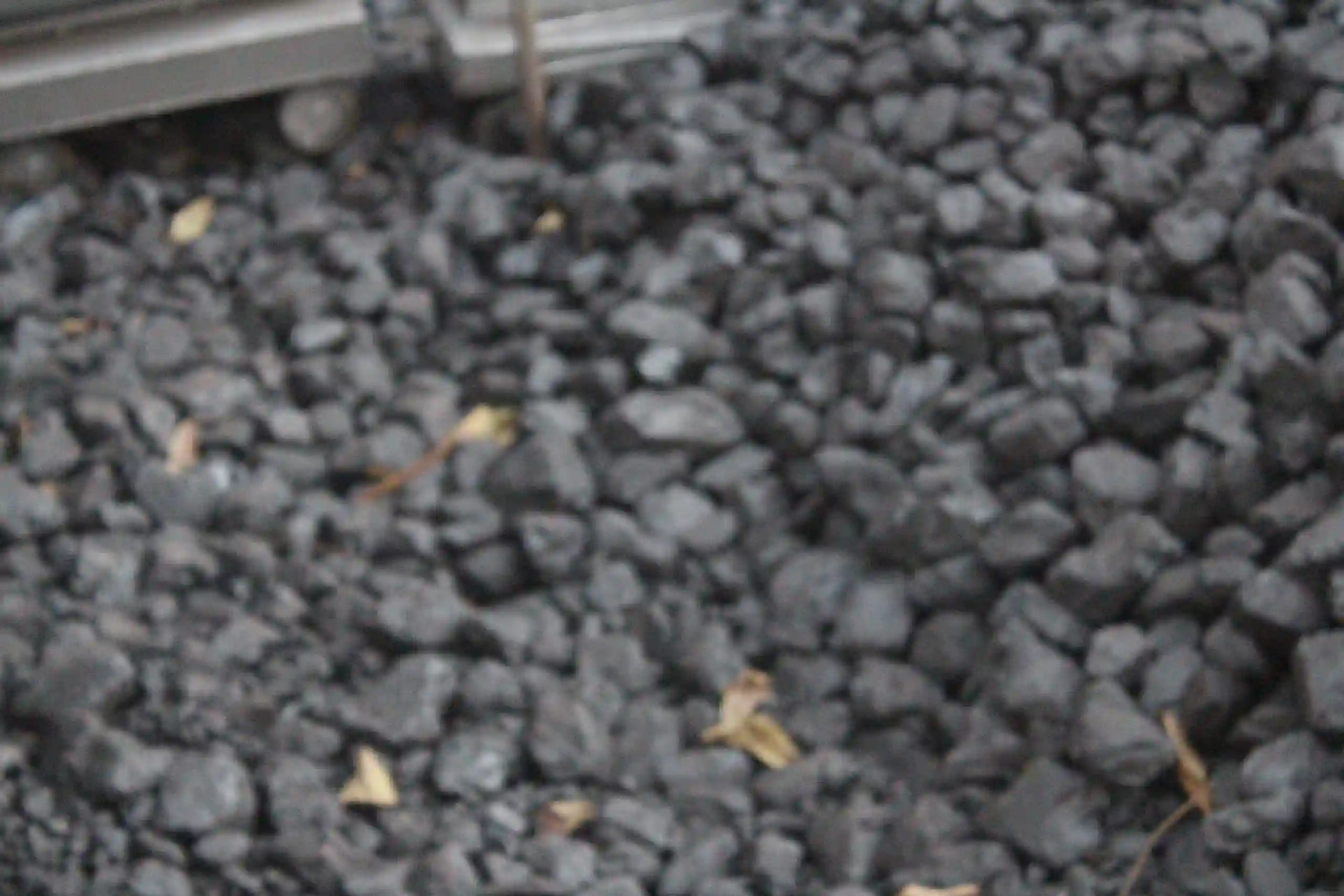 Govt 'Ignores' Hwange Underground Coal Fires