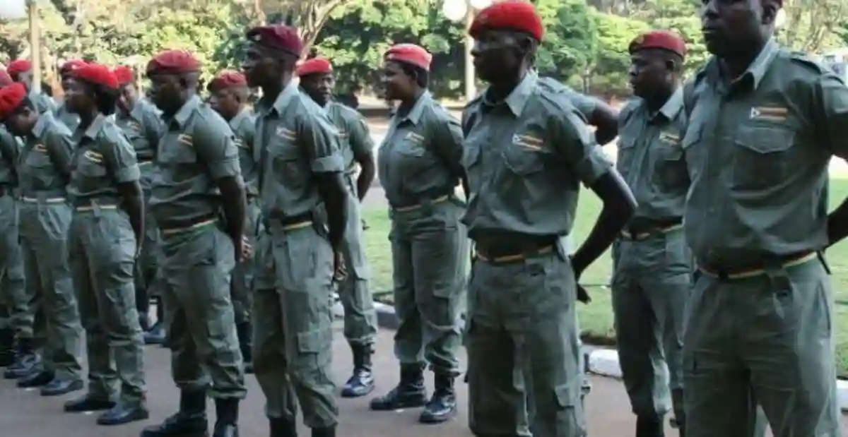 Govt Mulls Border Gezi Youth Militia Revival