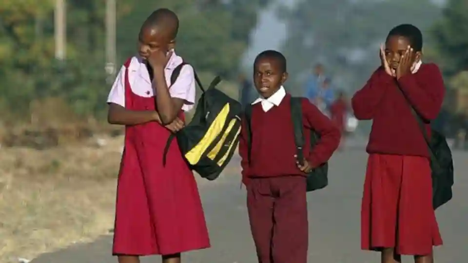 Govt Orders Schools To Charge Fees In Zim Dollar After Consulting Parents