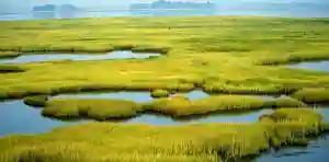 Govt Vows To Destroy Boreholes Drilled On Wetlands