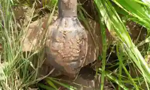 Grenade Found In Montrose
