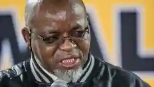 Gwede Mantashe: Deal With Criminals, Not Zimbabweans