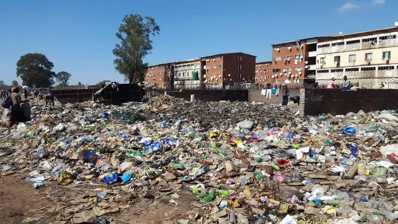 Harare Residents Alarmed By Bed Bug Outbreak