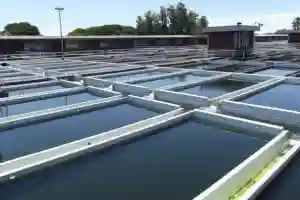 Harare Shuts Down Morton Jaffray Water Treatment Plant