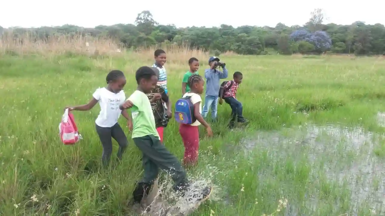 Harare Wetlands Trust Raises Alarm Over Wetlands Destruction