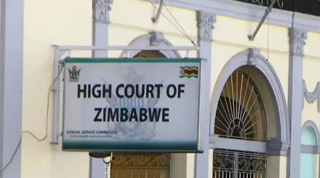 High Court Orders Ministers July Moyo And Frederick Shava To Repay ZiG200 Million In Unapproved Loans