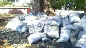 Illegal Charcoal Production Threatens Zimbabwe's Forests