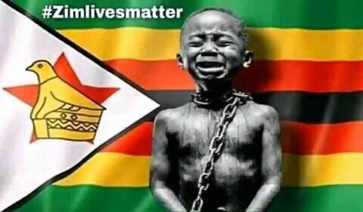 "I'm Neither MDC Nor ZANU PF, I'm Zimbabwean" - ED's Advisor Endorses #ZimbabweanLivesMatter Movement
