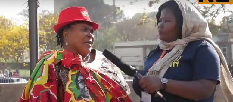 "I'm Sorry," - Mandi Chimene Reaches Out To Mnangagwa