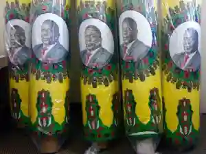Independent Candidates Warned Against Using Zanu-PF Colours, Mnangagwa's Picture