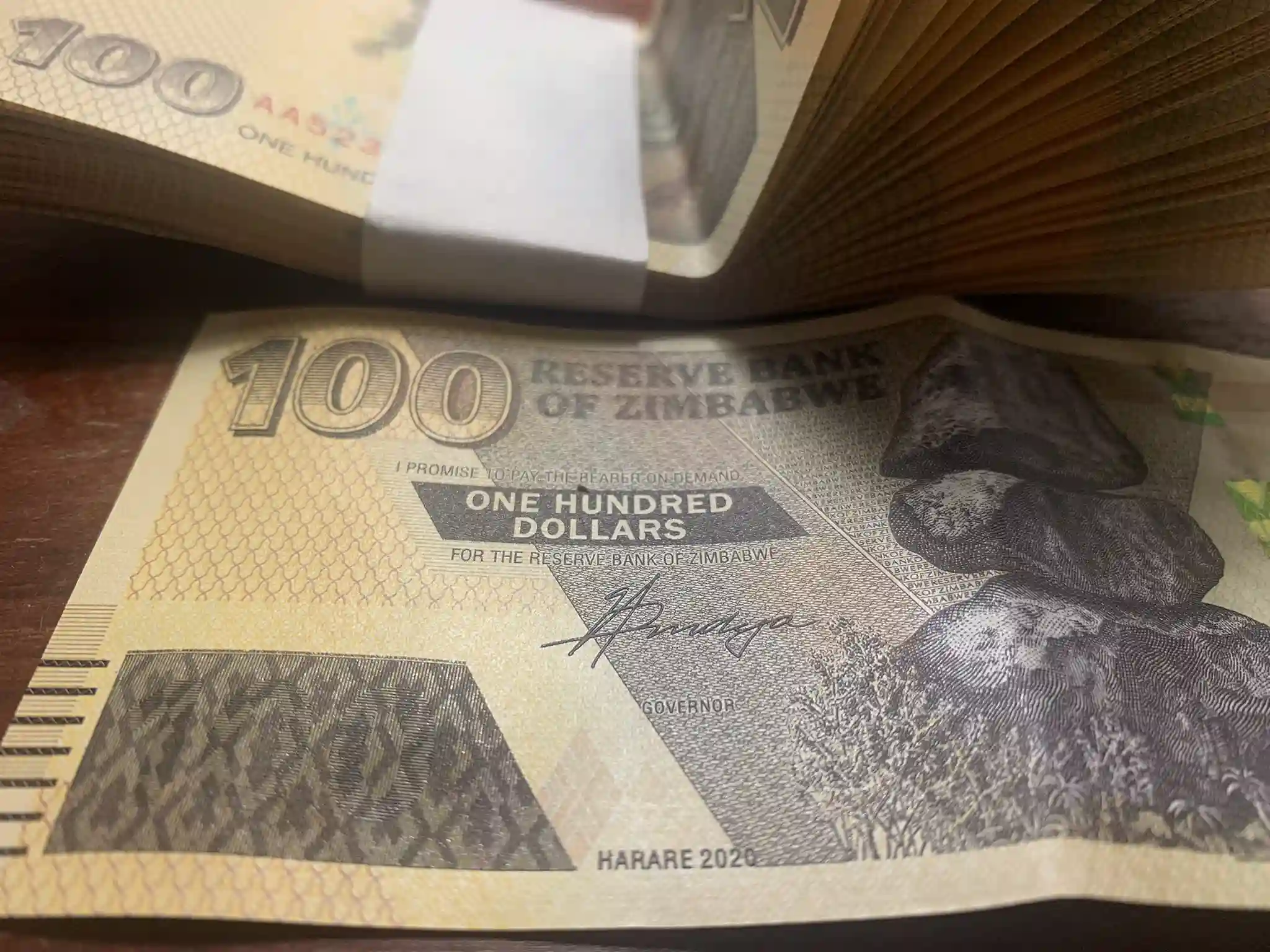 It's Time For Zimbabwe To Dump Its Local Currency - Hanke