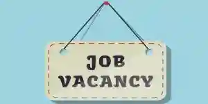 Job Vacancies: Nurse Counsellors, Compliance Officer, Procurement Intern, Etc