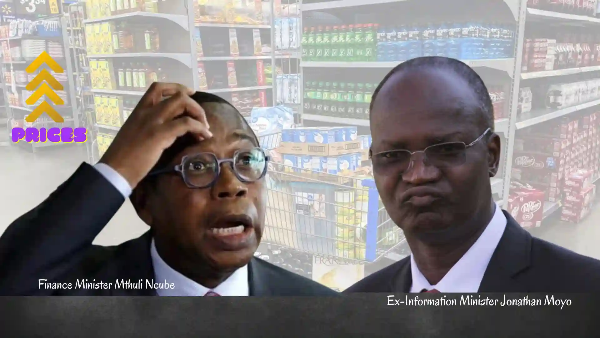 Jonathan Moyo Tells Mthuli Ncube Business Isn't Responsible For Price Hikes