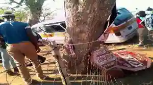 Kombi Veers Off The Road, Misses Pedestrian Before Crashing Into A Tree