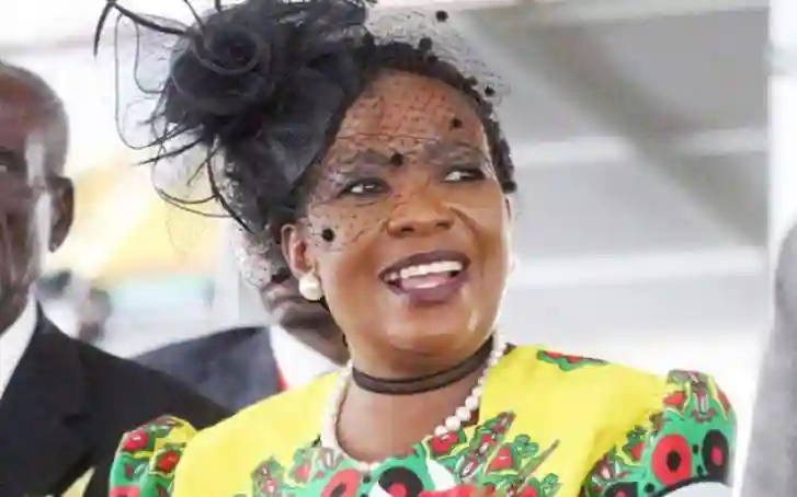 'Madman' Throws Stones At First Lady's Motorcade In Bulawayo - Report