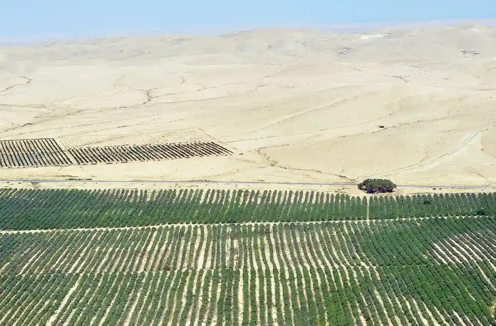 Malawi Government Agrees To Send Young People To Work On Farms In Israel