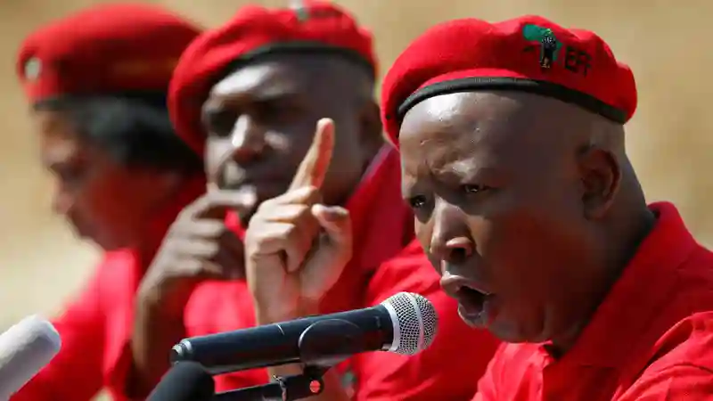 Malema Says Zimbabwe's Youth Must Rise And Confront "Tyranny"