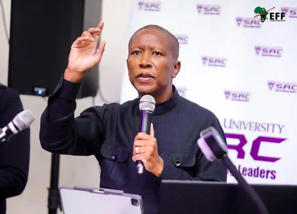 Malema Urged To Rejoin ANC To Escape Zuma’s "Snake-like" Revenge