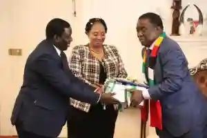Mangwana Says ZEC's Draft Of The Final Delimitation Report Is Not Final