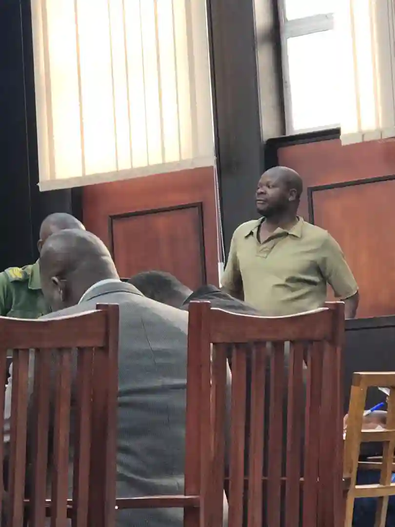 MDC Commissar Amos Chibaya Acquitted Of Treason