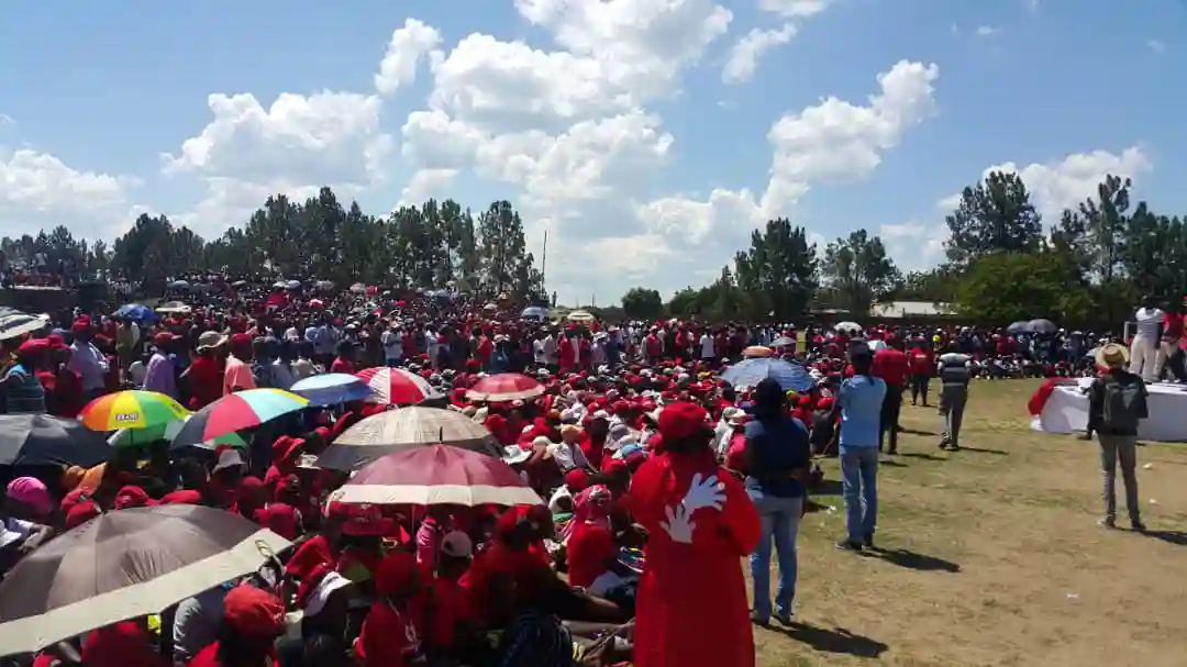 MDC Defies Tsvangirai Family Over Party Regalia Ban