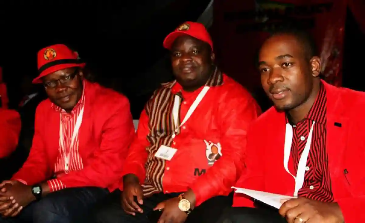 MDC Member, Japajapa, Jailed 2 Years For Unofficial Declaration Of Election Results