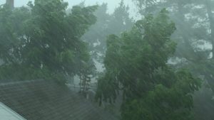 Met Department Forecasts Heavy Rains