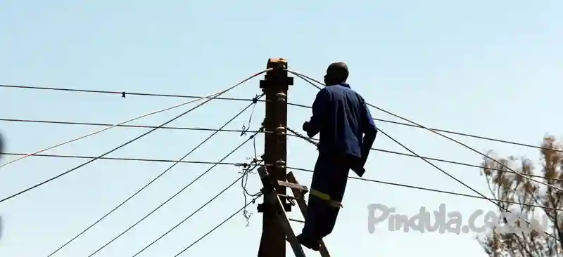 Minister Undenge fails to sign electricity deal with S.A after failing to consult Attorney General