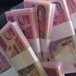 Mnangagwa ‘Totally Ignorant’ On Economic Matters – Steve Hanke