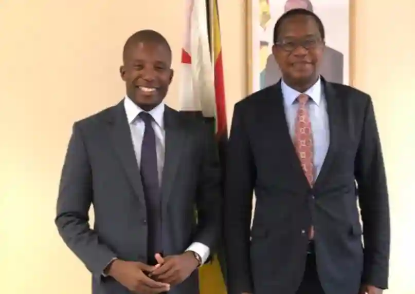 Mnangagwa Ally Blasts Mthuli Ncube For Appointing State Funds Looter Acie Lumumba