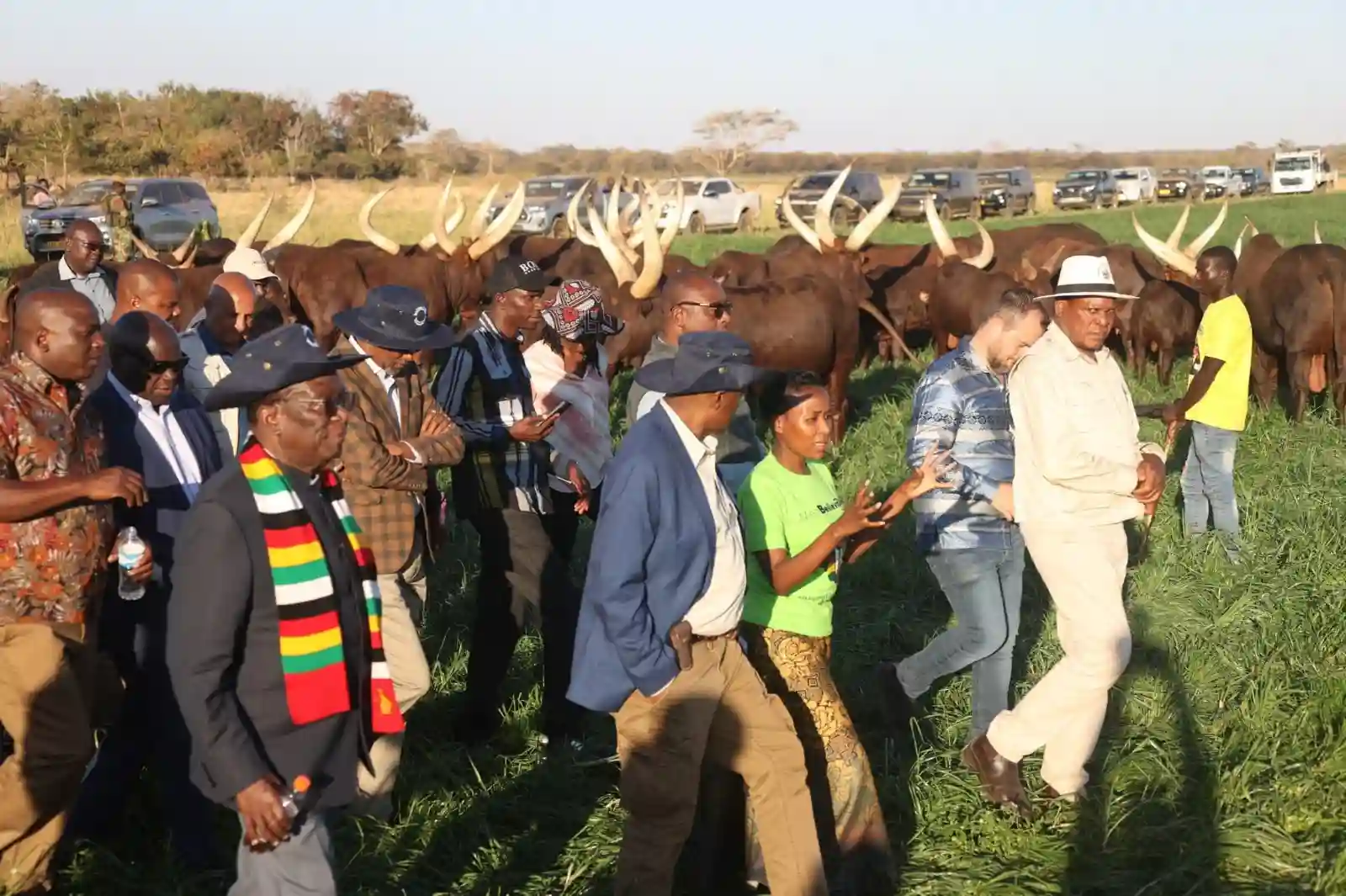 Mnangagwa Gifts 10 Ankole Cattle To Botswana's President | Report