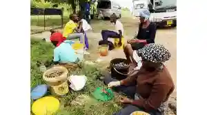 Mopane Worm Harvesters Flood Matabeleland Region